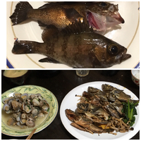 メバルを料理
