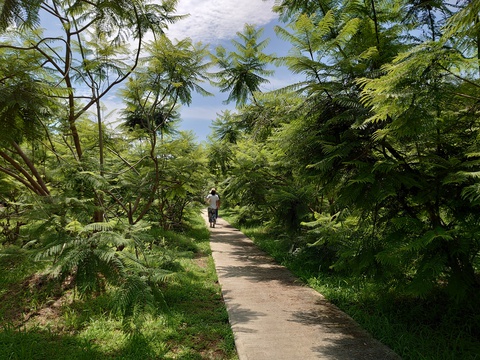 家族旅行～日向～