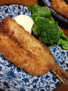 お勧め料理！『カマスフライ』