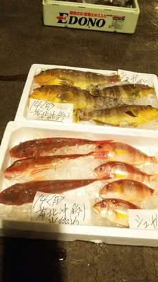 釣果報告 ＼(^o^)／ 2018/05/20 21:31:07