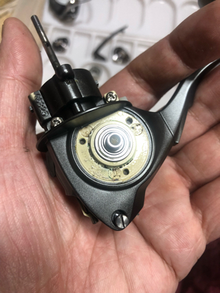 管釣りは楽しい！＋:イグジストスティーズカスタム2004の