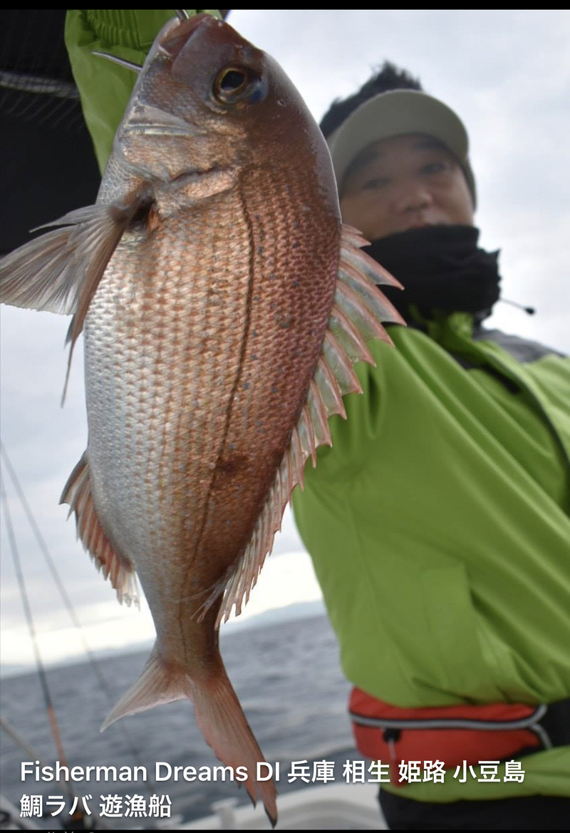 水曜釣り師の釣果 小豆島 鯛サビキ 大潮