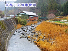 八女市矢部村の山女魚釣り＆河川は平常の水量です 2022/03/19 14:58:18
