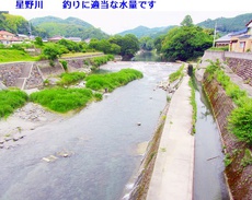 星野川の水量 2023/06/13 20:19:12