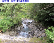 八女市星野村＆山女魚釣りに適当な水量です 2022/08/27 20:01:32