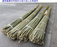 布袋竹の釣り竿を生産＆管理釣り場や和竿の素材に使用