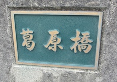 星野川　群れ鮎