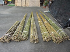 竹林より布袋竹の伐り出しが最盛期になりました