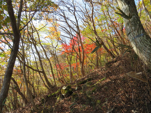 紅葉の那岐山登山