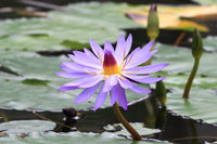 掛川花鳥園