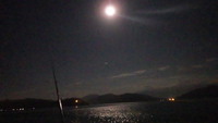 お久しぶりです。尺が釣れたよ～ヾ(*´∀｀*)ﾉ゛ｷｬｯｷｬｯ 2014/11/24 20:00:00