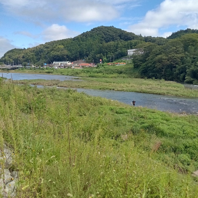 今日の久慈川