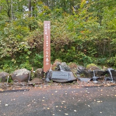 南東北