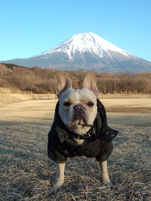 いい天気でした！