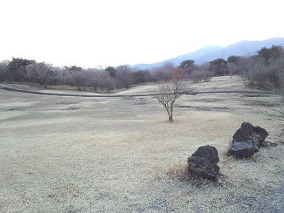 いい天気でした！