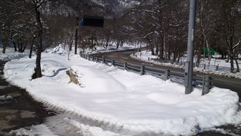 雪の残る奥飛騨路