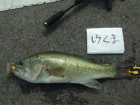 STAGE-３無事終了しました～