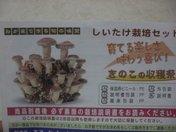 これなん～だ？