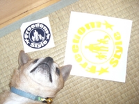お久しぶりです♪ 2008/08/12 08:25:07