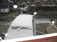 ダウン・・・ 2008/12/08 12:14:01