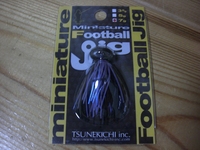 買ってみた 2009/02/06 09:02:00