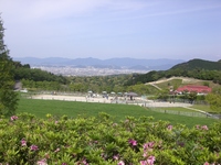休日出勤 2009/05/04 09:41:48