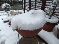 吹雪でした 2010/01/13 10:09:47