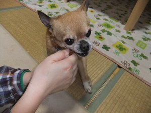 結局やってんじゃん（笑）