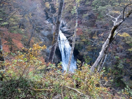 東北出張？旅行？