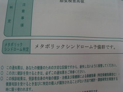 入群しました