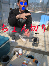 4/20　ドーム　107匹　爆と渋　ラスト釣行