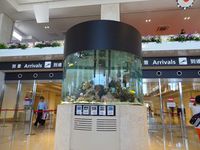 25年八重山の旅の報告　第5弾（又来るよ神の島遥か国へ）