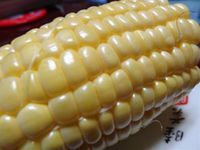 嶽きみ