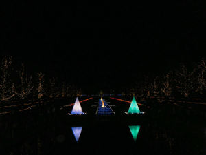昭和記念公園