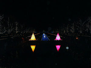 昭和記念公園