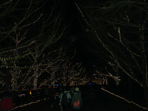 昭和記念公園