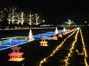 昭和記念公園