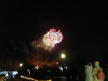 昭和記念公園