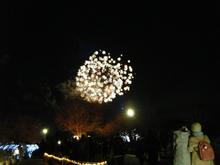昭和記念公園