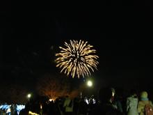 昭和記念公園