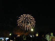 昭和記念公園