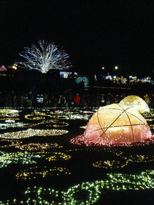 昭和記念公園