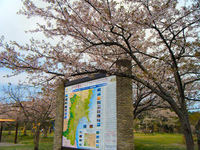 宮城へ弾丸帰省