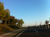 快晴です  (^-^)/ 2011/10/29 07:03:09