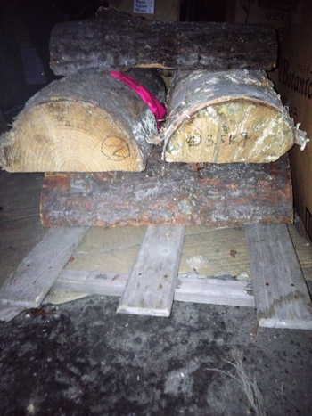 薪の乾燥　重量比較　１