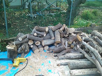 流木を薪にしました