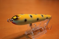 ９メートル
