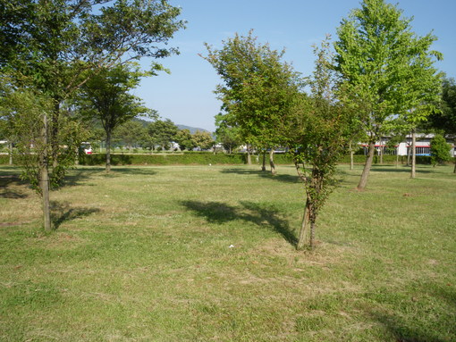 グリーンパーク山東のキャンプ場概要