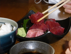 マグロと温泉の旅～紀伊勝浦旅行記１～