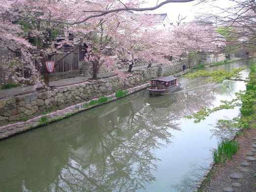 明日は八幡祭り！